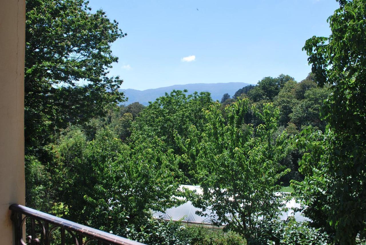 Agriturismo Roseto Villa Serra San Bruno Bagian luar foto